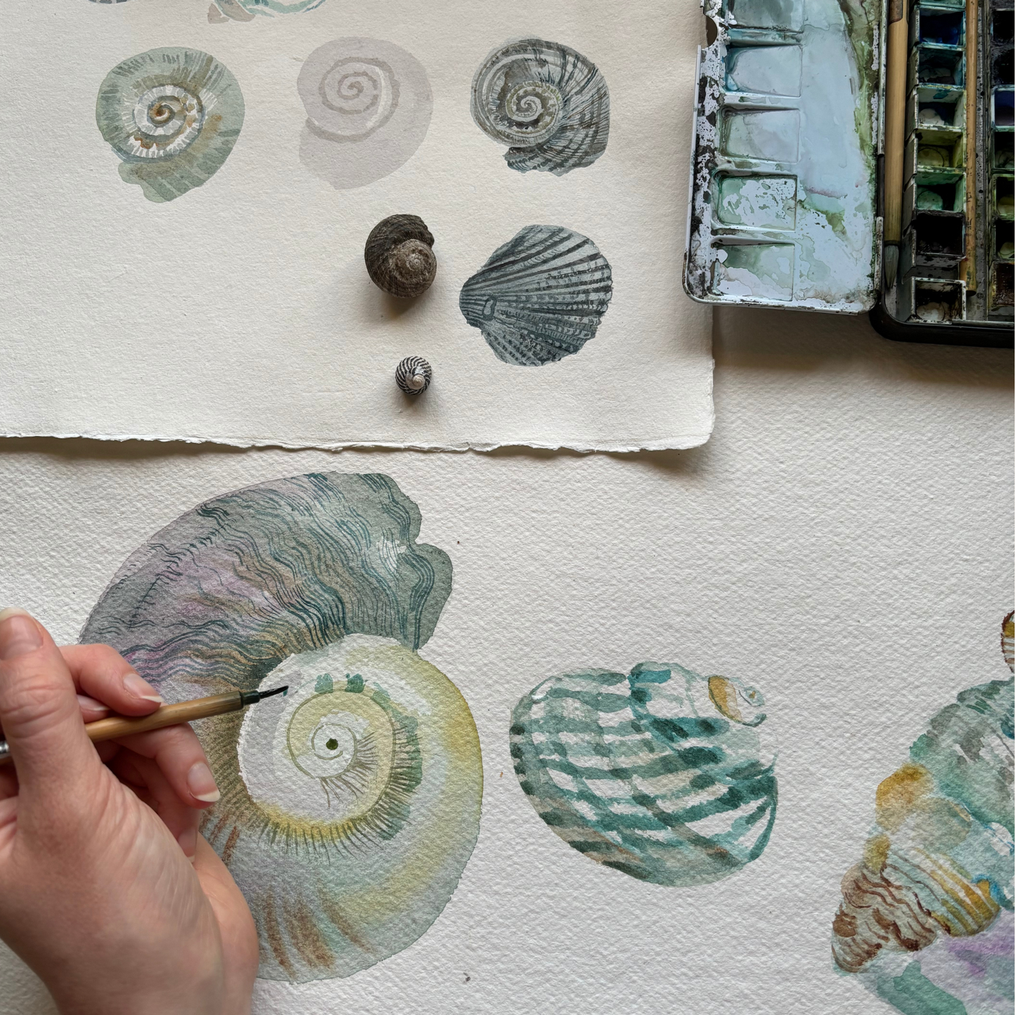 Opal Seashell Silk Scarf