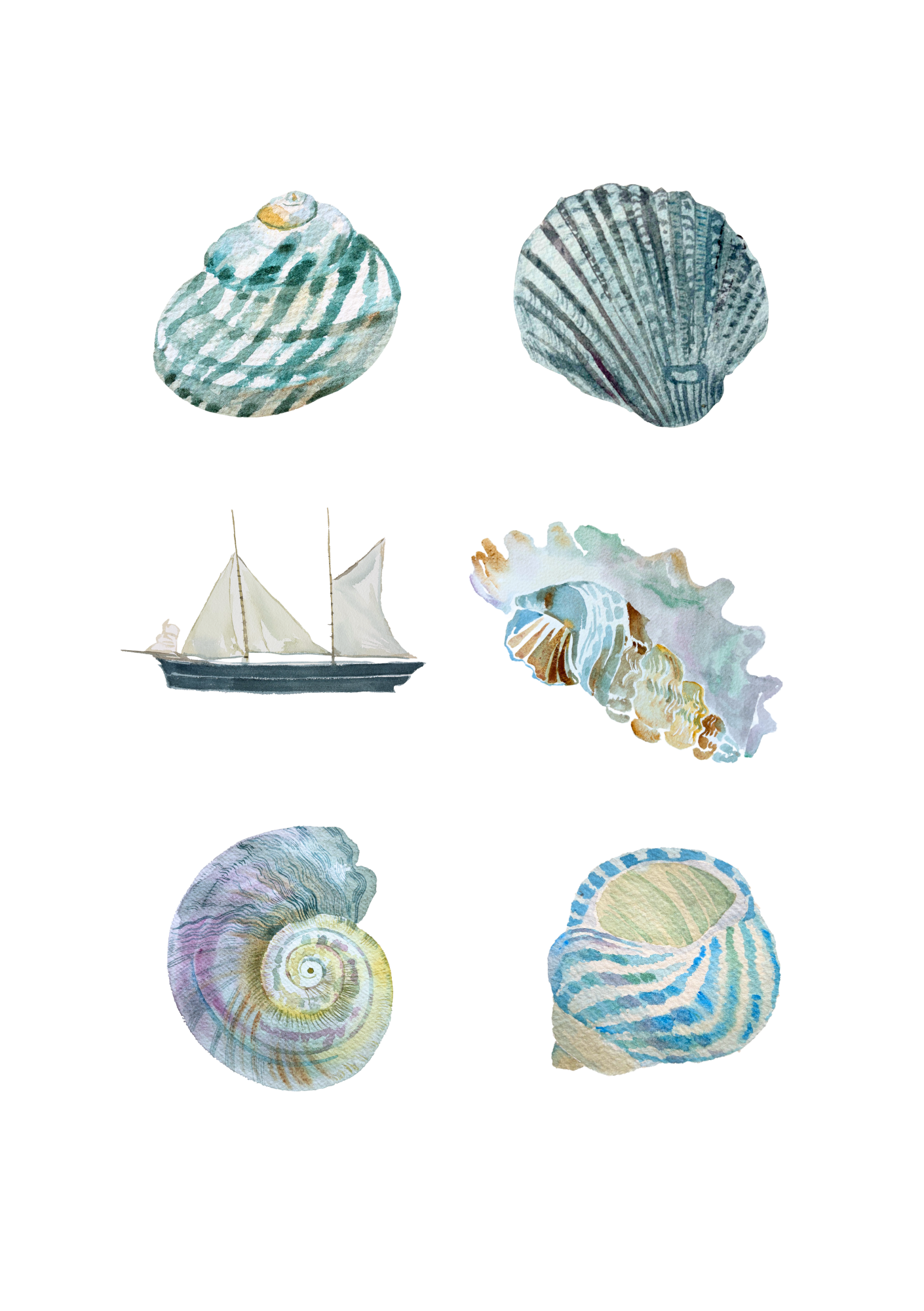 Sea Shell Print